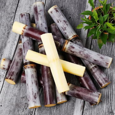 Grow Your Own Sugar! 🌱 sugarcane seeds